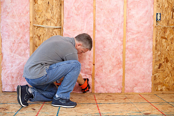 Best Insulation Maintenance and Repair in Bryant, AR