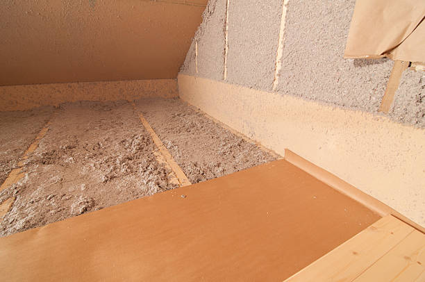 Best Eco-Friendly Insulation in Bryant, AR